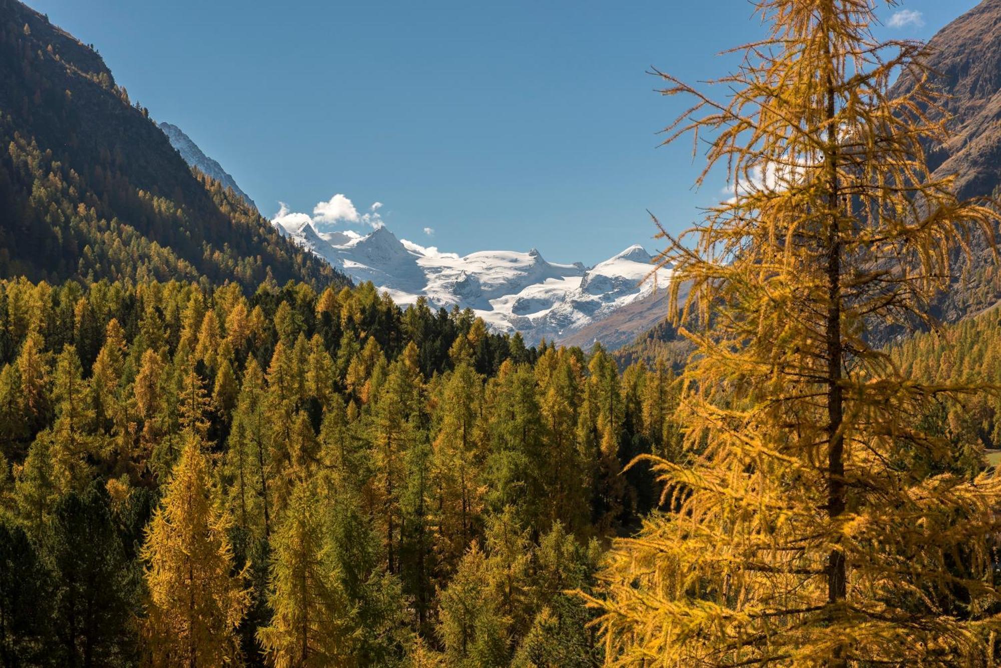 Hotel Saratz Pontresina Exterior foto
